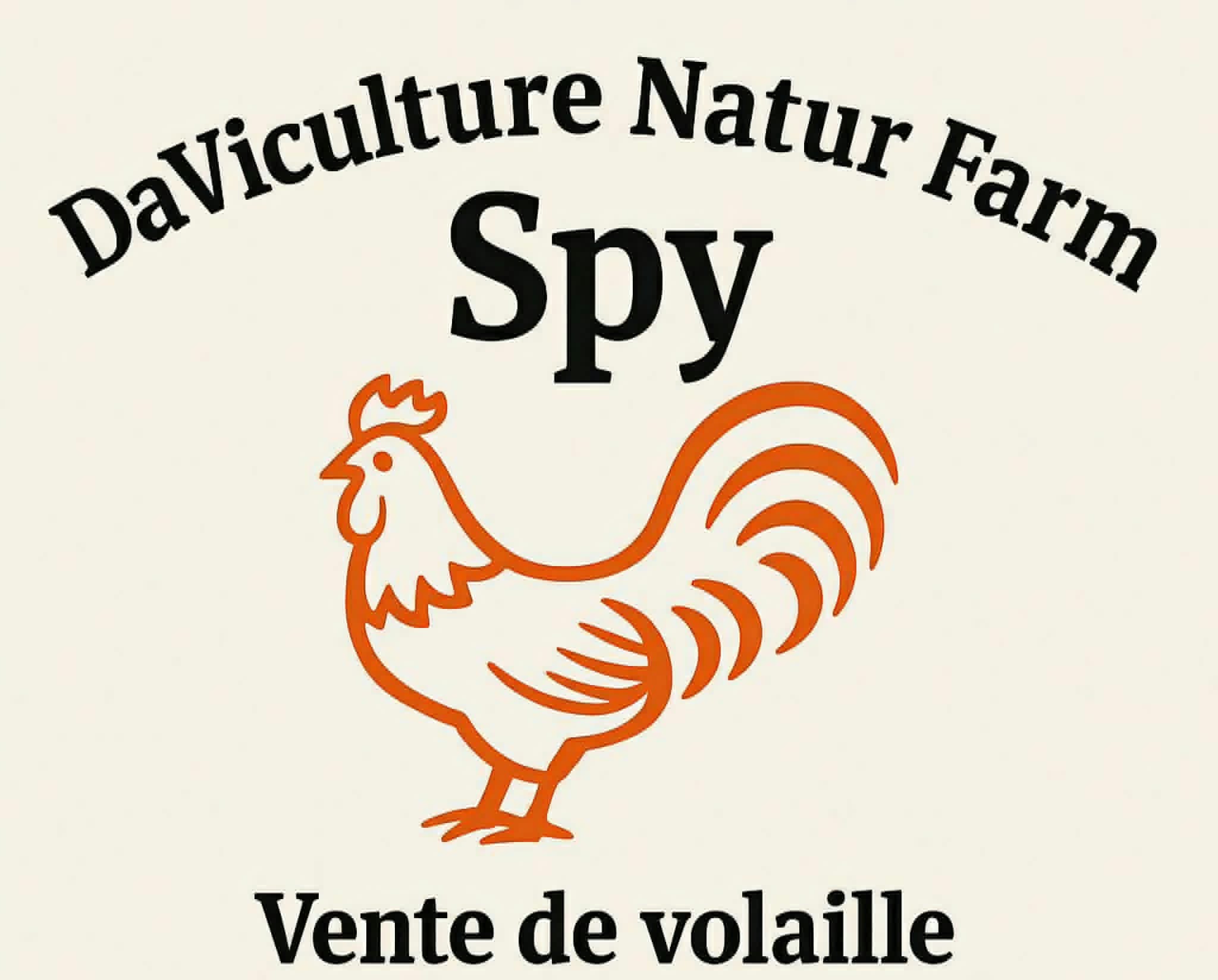 Logo Daviculture Natur Farm Spy : coq orange, vente de volaille